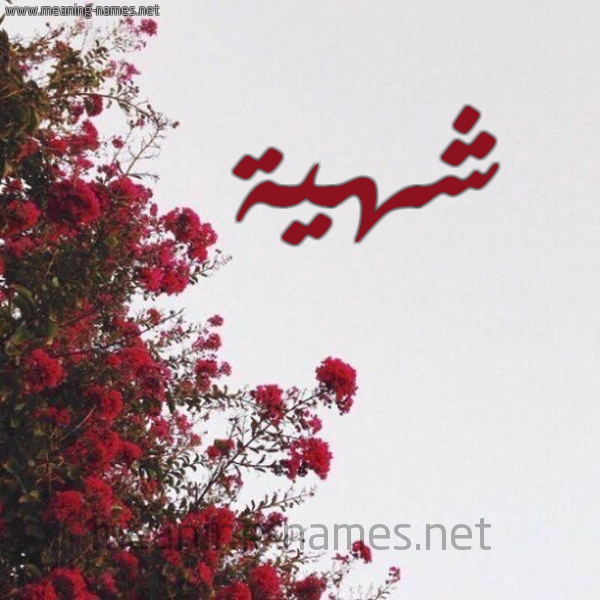 شكل 18 صوره الورد الأحمر للإسم بخط رقعة صورة اسم شهية Shhyh