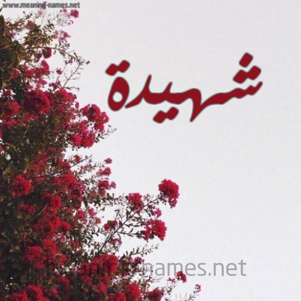 شكل 18 صوره الورد الأحمر للإسم بخط رقعة صورة اسم شهيدة Shhyd'h
