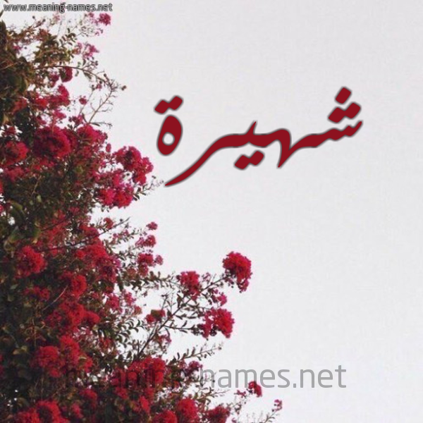 شكل 18 صوره الورد الأحمر للإسم بخط رقعة صورة اسم شهيرة Shahira