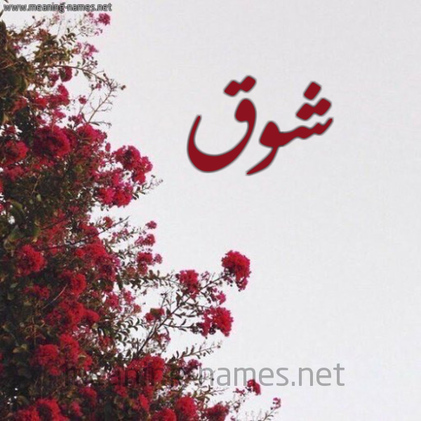 شكل 18 صوره الورد الأحمر للإسم بخط رقعة صورة اسم شوق Shok