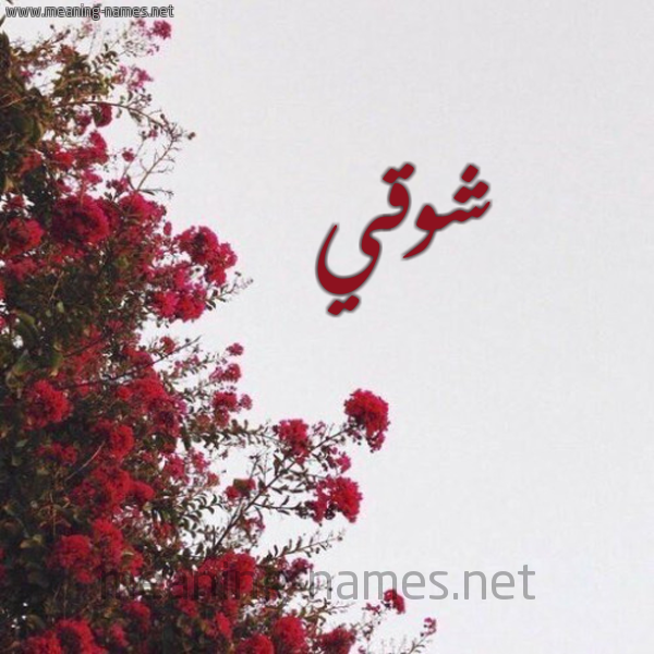 شكل 18 صوره الورد الأحمر للإسم بخط رقعة صورة اسم شوقي Shwky