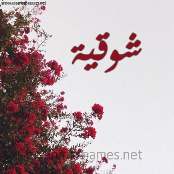 شكل 18 صوره الورد الأحمر للإسم بخط رقعة صورة اسم شوقية Shwqyh