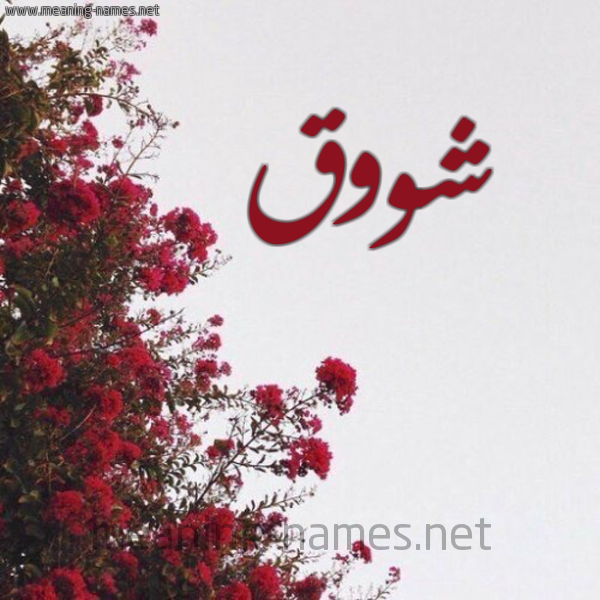 شكل 18 صوره الورد الأحمر للإسم بخط رقعة صورة اسم شووق Shawq
