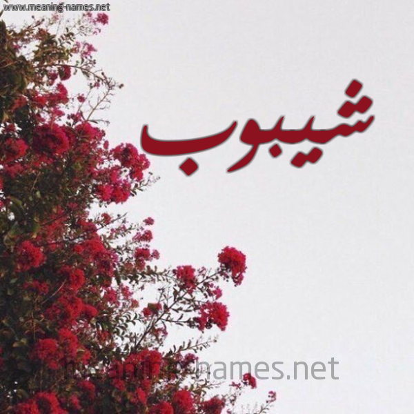 شكل 18 صوره الورد الأحمر للإسم بخط رقعة صورة اسم شيبوب Shybwb