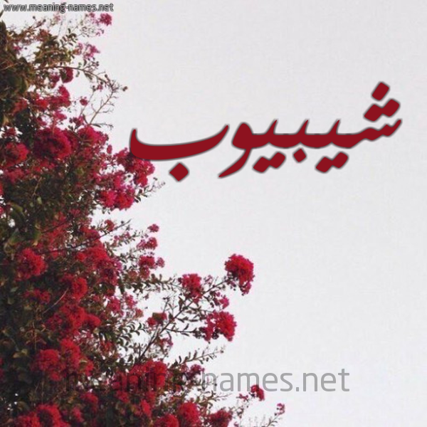 شكل 18 صوره الورد الأحمر للإسم بخط رقعة صورة اسم شيبيوب Shiboub