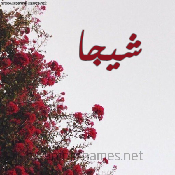 شكل 18 صوره الورد الأحمر للإسم بخط رقعة صورة اسم شيجا Shaga