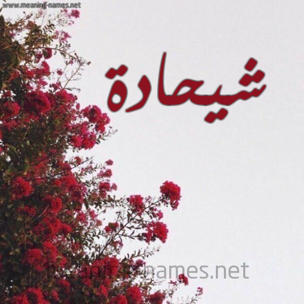 شكل 18 صوره الورد الأحمر للإسم بخط رقعة صورة اسم شيحادة Shehadeh