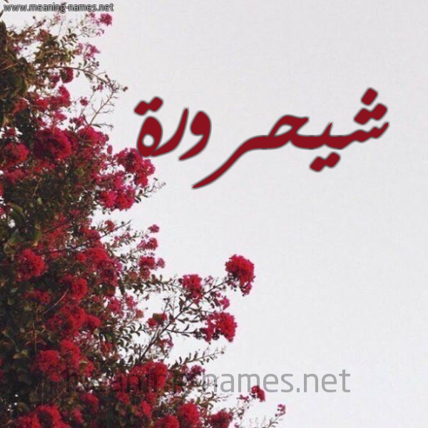 شكل 18 صوره الورد الأحمر للإسم بخط رقعة صورة اسم شيحرورة Shahroura