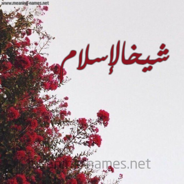 شكل 18 صوره الورد الأحمر للإسم بخط رقعة صورة اسم شيخالإسلام Shykhalislam
