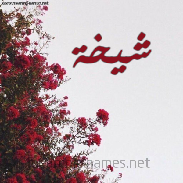 شكل 18 صوره الورد الأحمر للإسم بخط رقعة صورة اسم شيخة Shykhh
