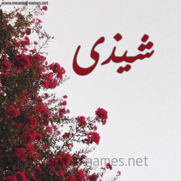 شكل 18 صوره الورد الأحمر للإسم بخط رقعة صورة اسم شيذى Shatha