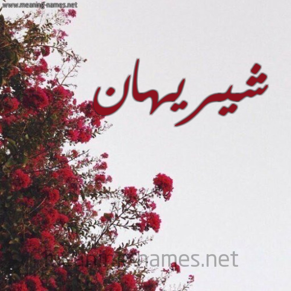 شكل 18 صوره الورد الأحمر للإسم بخط رقعة صورة اسم شيريهان Shreihan