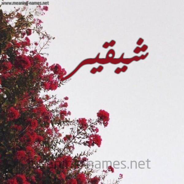 شكل 18 صوره الورد الأحمر للإسم بخط رقعة صورة اسم شيقير Shukair