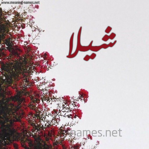 شكل 18 صوره الورد الأحمر للإسم بخط رقعة صورة اسم شيلا SHILA