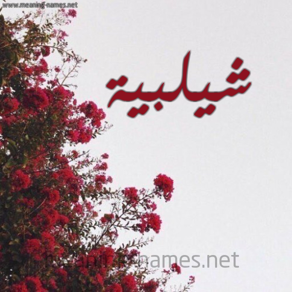 شكل 18 صوره الورد الأحمر للإسم بخط رقعة صورة اسم شيلبية Shalabia
