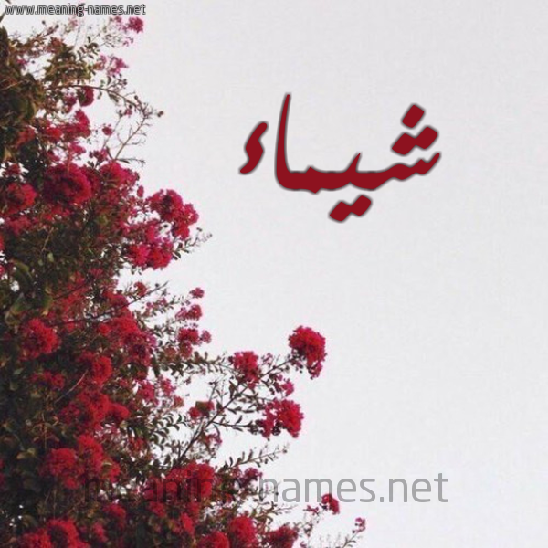 شكل 18 صوره الورد الأحمر للإسم بخط رقعة صورة اسم شيماء Shymaa