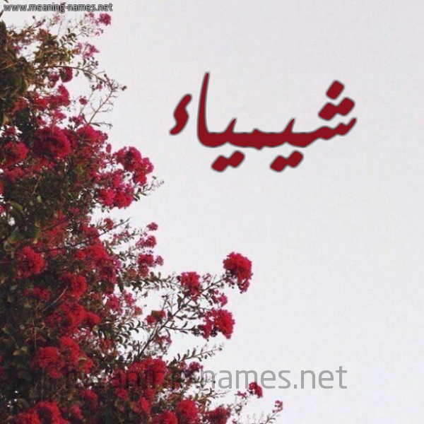 شكل 18 صوره الورد الأحمر للإسم بخط رقعة صورة اسم شيمياء Shaimaa