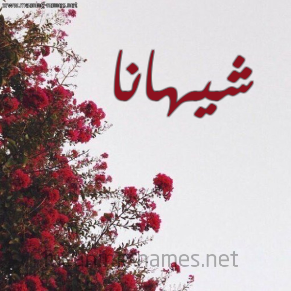 شكل 18 صوره الورد الأحمر للإسم بخط رقعة صورة اسم شيهانا Shihana