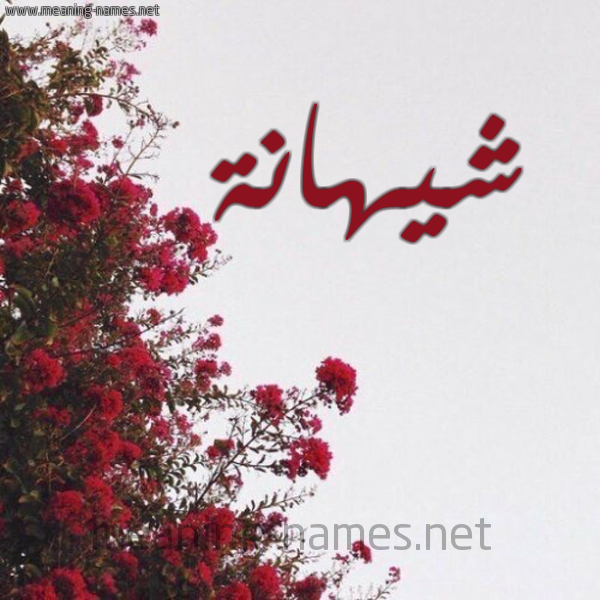 شكل 18 صوره الورد الأحمر للإسم بخط رقعة صورة اسم شيهانة Shyhanh