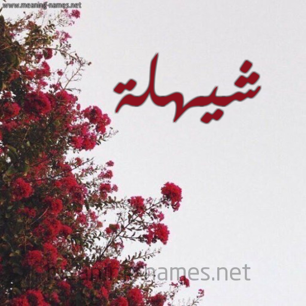 شكل 18 صوره الورد الأحمر للإسم بخط رقعة صورة اسم شيهلة Shahla