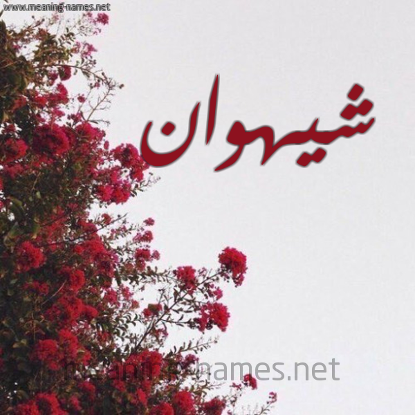 شكل 18 صوره الورد الأحمر للإسم بخط رقعة صورة اسم شيهوان Shahwan