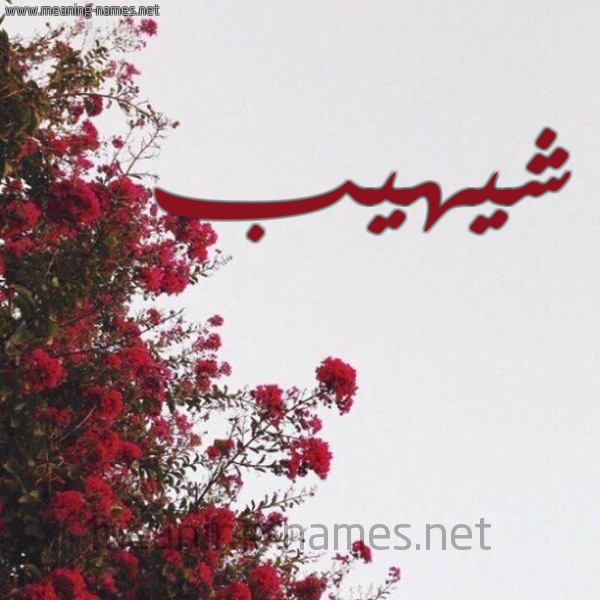 شكل 18 صوره الورد الأحمر للإسم بخط رقعة صورة اسم شيهيب Shahib