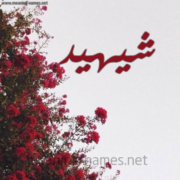 شكل 18 صوره الورد الأحمر للإسم بخط رقعة صورة اسم شيهيد Shahid