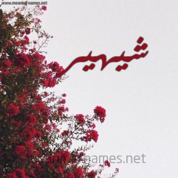 شكل 18 صوره الورد الأحمر للإسم بخط رقعة صورة اسم شيهير Shaheer
