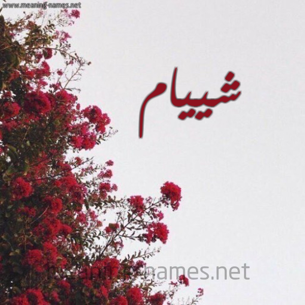 شكل 18 صوره الورد الأحمر للإسم بخط رقعة صورة اسم شييام Shyam