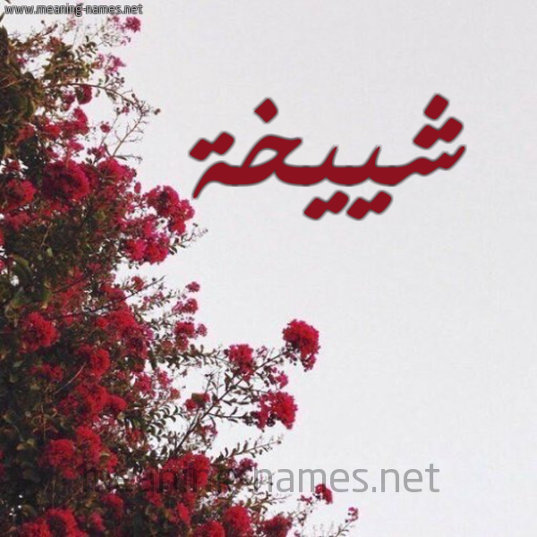 شكل 18 صوره الورد الأحمر للإسم بخط رقعة صورة اسم شييخة Shaikha