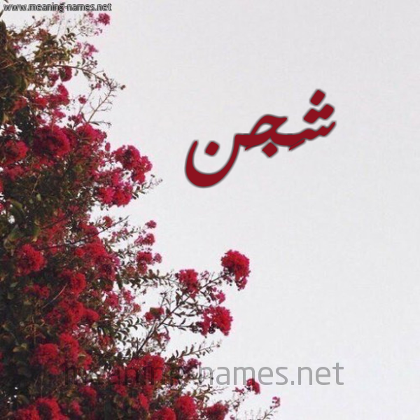 شكل 18 صوره الورد الأحمر للإسم بخط رقعة صورة اسم شَجَن SHAGAN