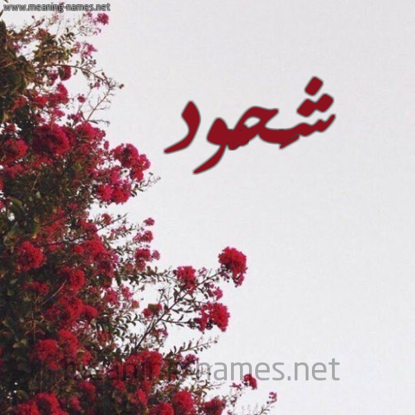 شكل 18 صوره الورد الأحمر للإسم بخط رقعة صورة اسم شَحُّود SHAHOOD