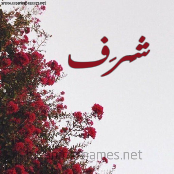 شكل 18 صوره الورد الأحمر للإسم بخط رقعة صورة اسم شَرَف SHARAF