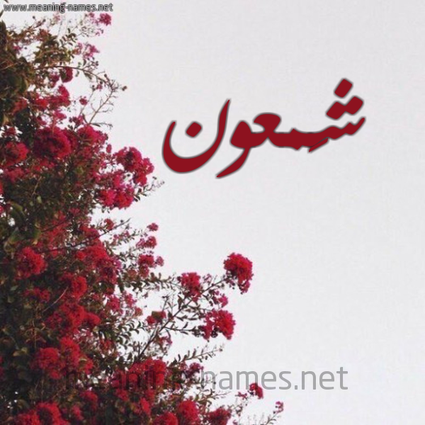 شكل 18 صوره الورد الأحمر للإسم بخط رقعة صورة اسم شَمعون SHAMAON