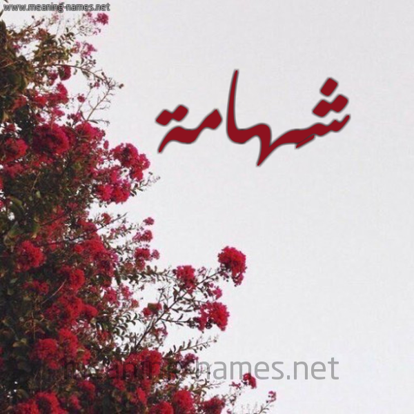 شكل 18 صوره الورد الأحمر للإسم بخط رقعة صورة اسم شَهامة SHAHAMH