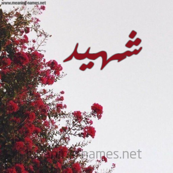 شكل 18 صوره الورد الأحمر للإسم بخط رقعة صورة اسم شَهيد SHAHID