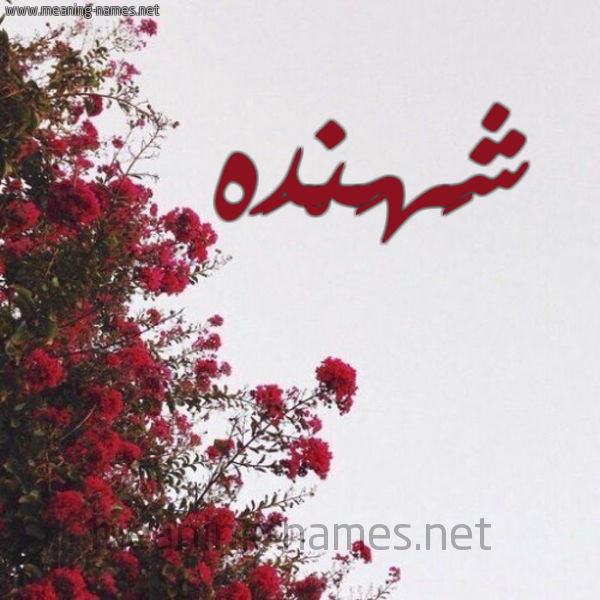 شكل 18 صوره الورد الأحمر للإسم بخط رقعة صورة اسم شَهَنْدَه SHAHANDAH