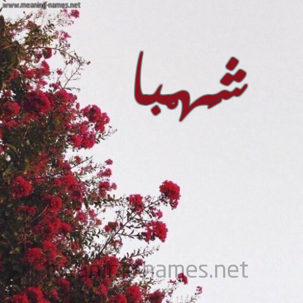 شكل 18 صوره الورد الأحمر للإسم بخط رقعة صورة اسم شَهْبا SHAHBA