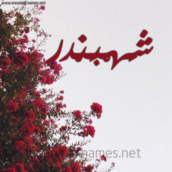 شكل 18 صوره الورد الأحمر للإسم بخط رقعة صورة اسم شَهْبَنْدر SHAHBANDR