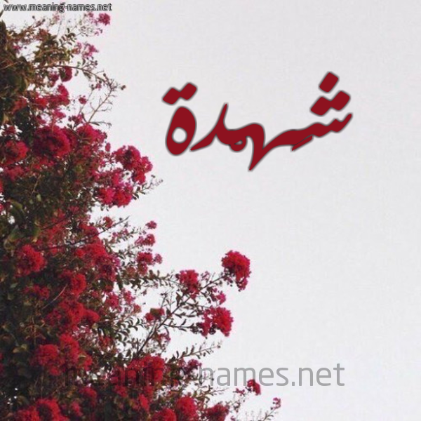شكل 18 صوره الورد الأحمر للإسم بخط رقعة صورة اسم شَهْدة SHAHDH