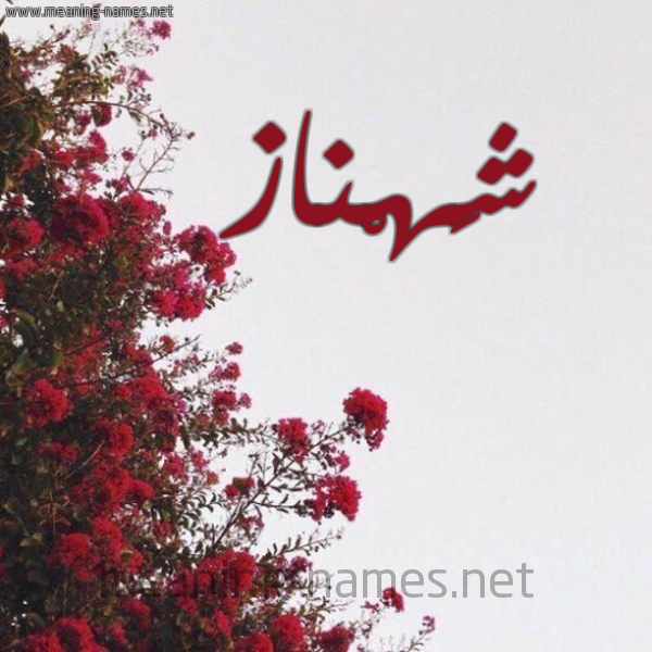 شكل 18 صوره الورد الأحمر للإسم بخط رقعة صورة اسم شَهْناز SHAHNAZ