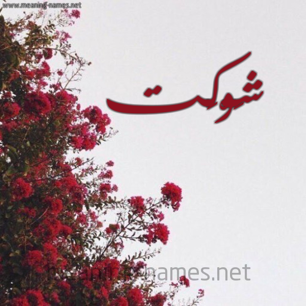 شكل 18 صوره الورد الأحمر للإسم بخط رقعة صورة اسم شَوْكَت SHAOKAT