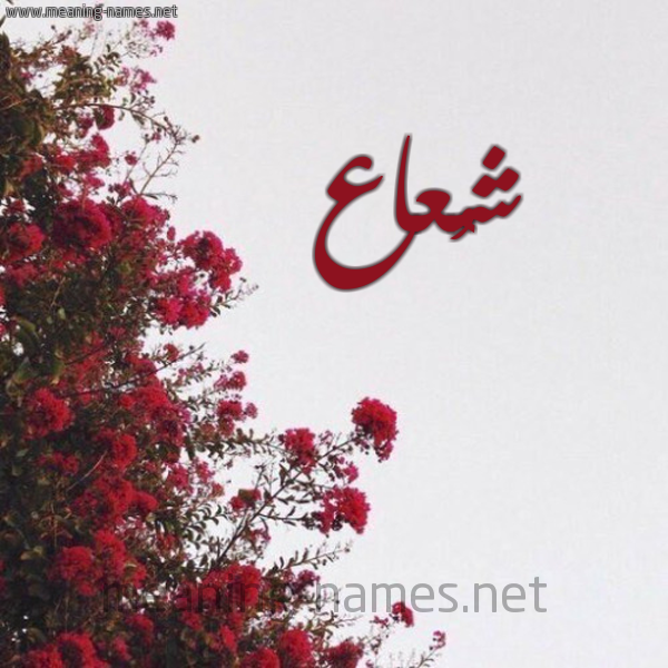 شكل 18 صوره الورد الأحمر للإسم بخط رقعة صورة اسم شُعاع SHOAAA