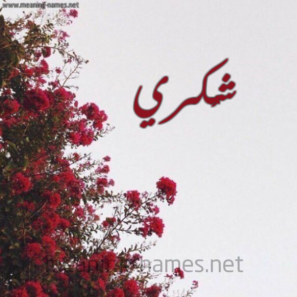 شكل 18 صوره الورد الأحمر للإسم بخط رقعة صورة اسم شُكري SHOKRI