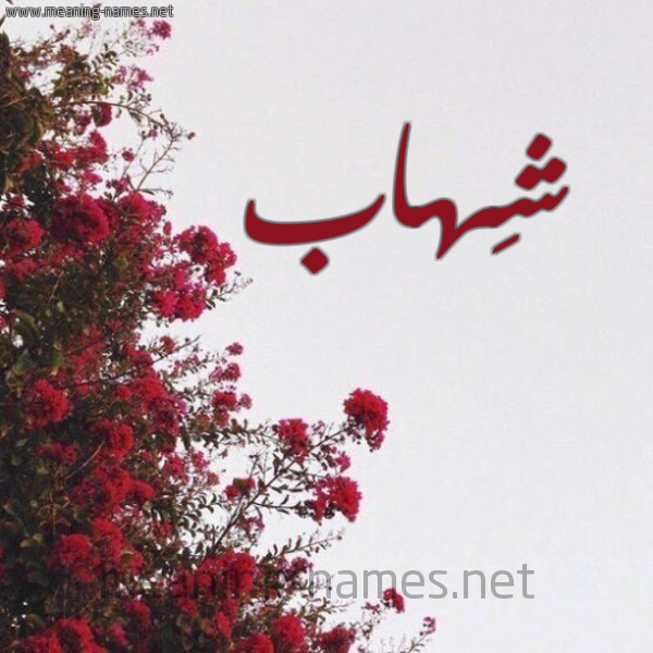 شكل 18 صوره الورد الأحمر للإسم بخط رقعة صورة اسم شِهاب SHEHAB