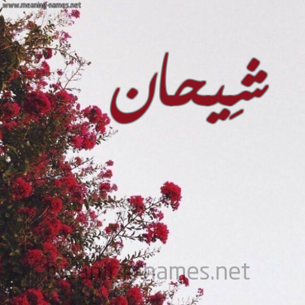 شكل 18 صوره الورد الأحمر للإسم بخط رقعة صورة اسم شِيحان SHEIHAN