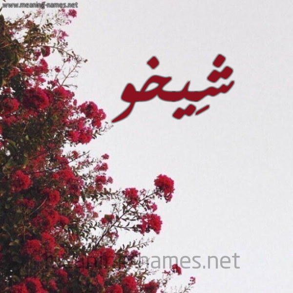 شكل 18 صوره الورد الأحمر للإسم بخط رقعة صورة اسم شِيخو SHEIKHO