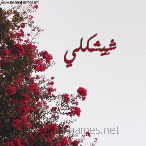 شكل 18 صوره الورد الأحمر للإسم بخط رقعة صورة اسم شِيشَكلي SHEISHAKLI