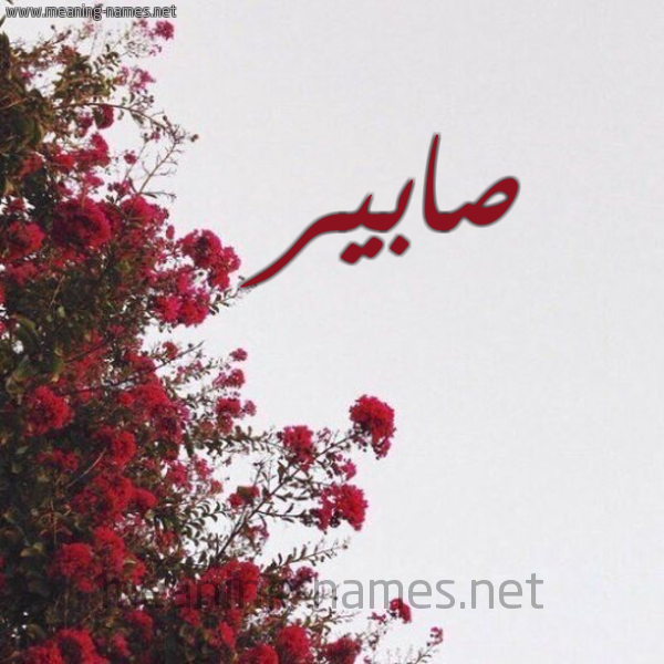 شكل 18 صوره الورد الأحمر للإسم بخط رقعة صورة اسم صابير Sabir