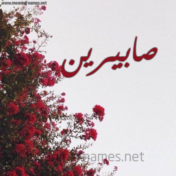 شكل 18 صوره الورد الأحمر للإسم بخط رقعة صورة اسم صابيرين Sabreen
